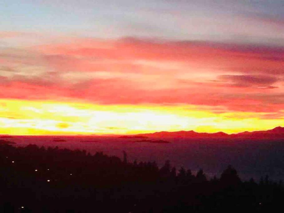 Modern House With Abundant Ocean View Holiday home Nanaimo