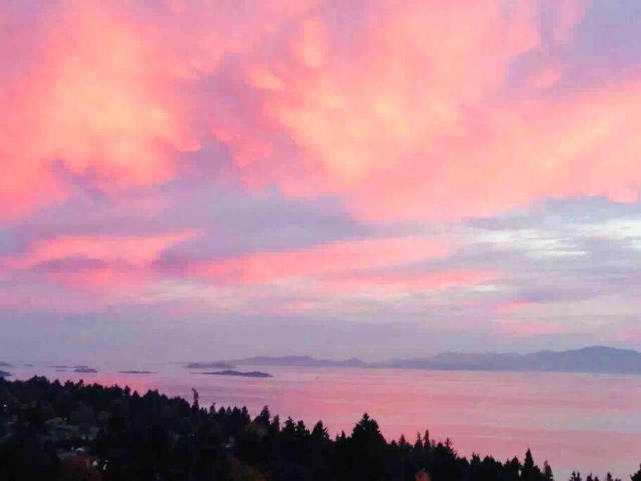 Modern House With Abundant Ocean View Nanaimo