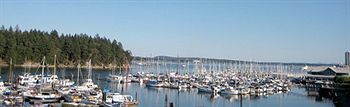 The Waterfront And Marina Nanaimo