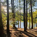 A Cozy Family Get Away Suite In South Nanaimo