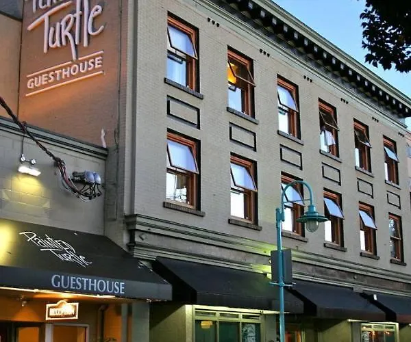 Painted Turtle Guesthouse