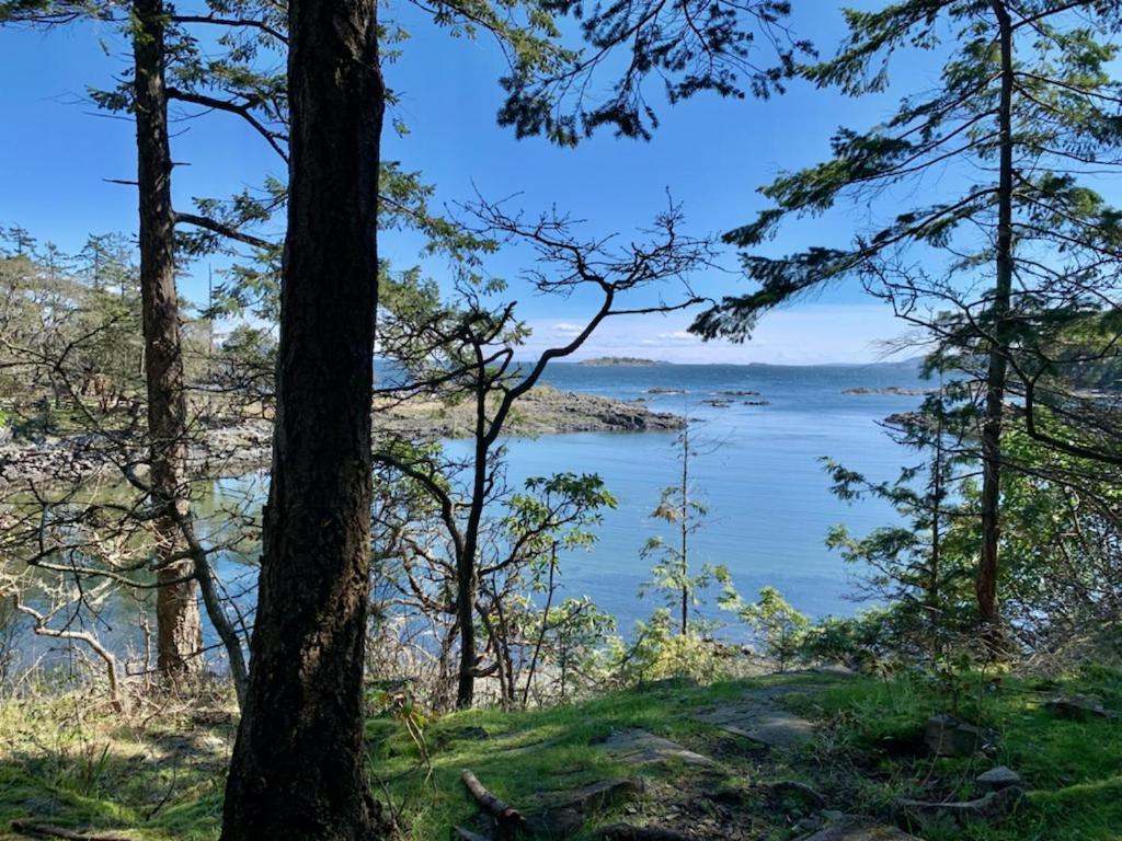 A Cozy Family Get Away In South Holiday home Nanaimo