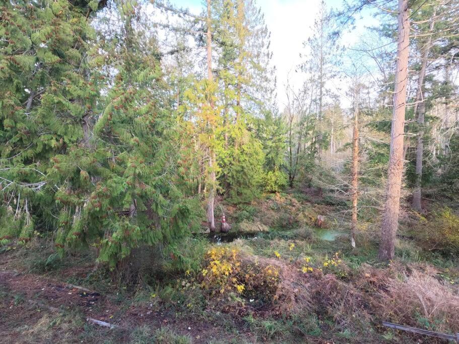 Countryroad Cozy 2bedrooms Suite2 Holiday home Nanaimo
