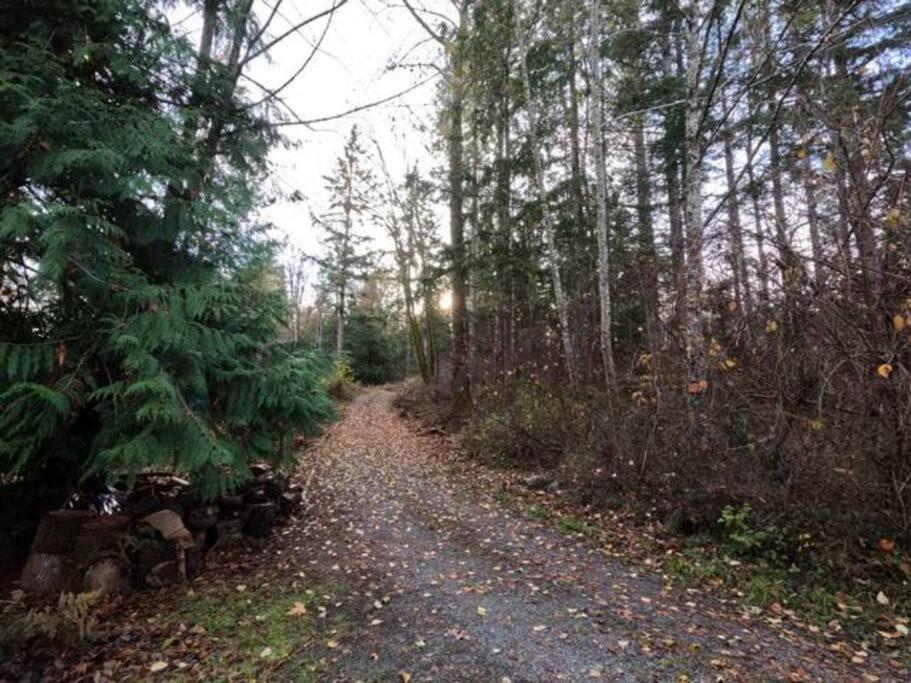 Countryroad Cozy 2 Bedrooms Basement Suite1 Apartment *