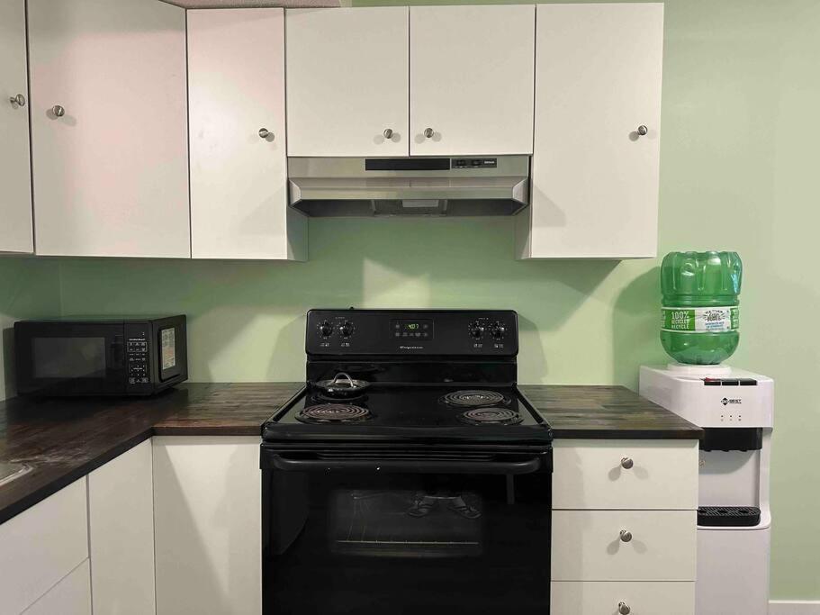 Countryroad Cozy 2 Bedrooms Basement Suite1 Apartment Nanaimo
