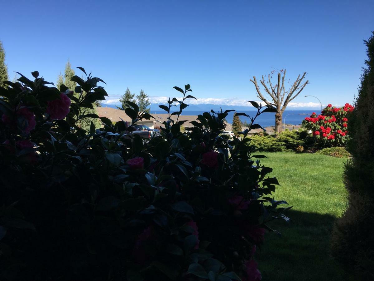 Neckpoint Treasure Homestay
