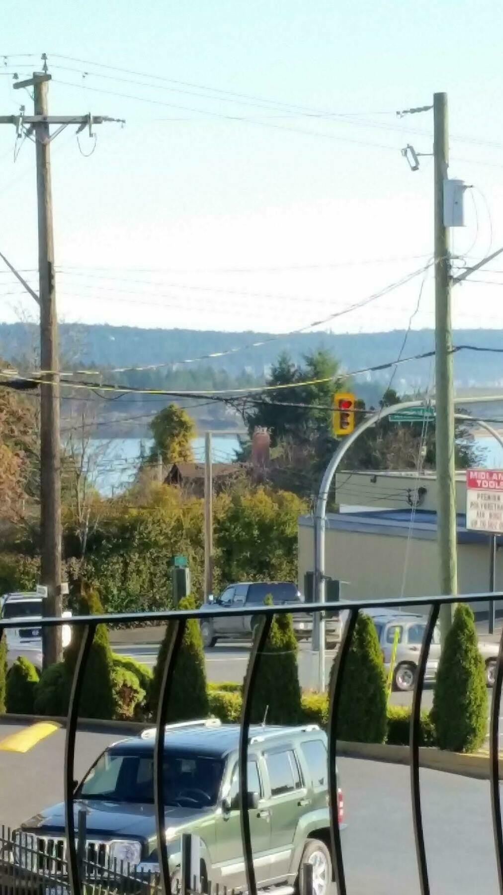 Port-o-call 2* Nanaimo
