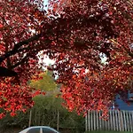 Red Robe Air B&B