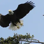 Long Lake Waterfront Bed And Breakfast