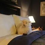Marshmeadow Farm Guest House
