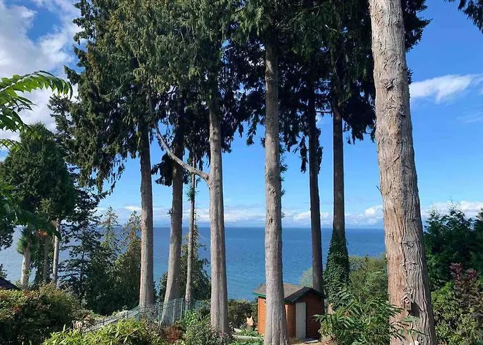 Waterfront Eagle Nest