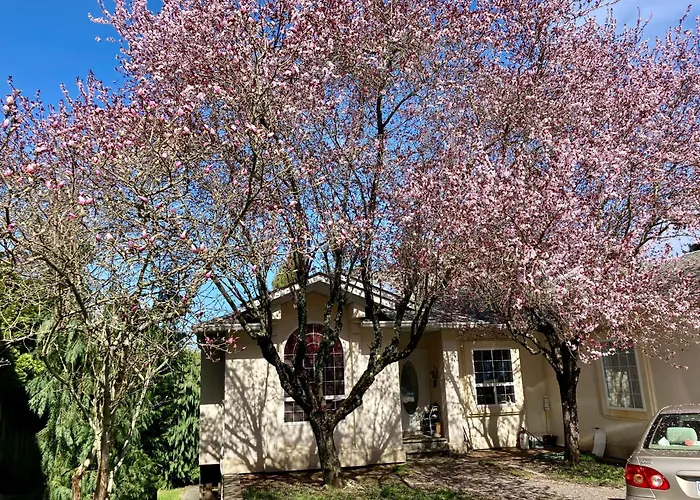 Red Robe Air B&B
