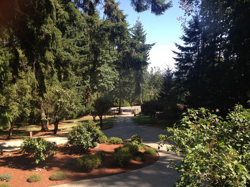 Maple View