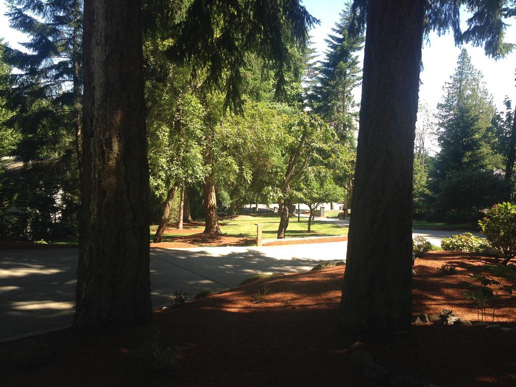 Maple View 4*