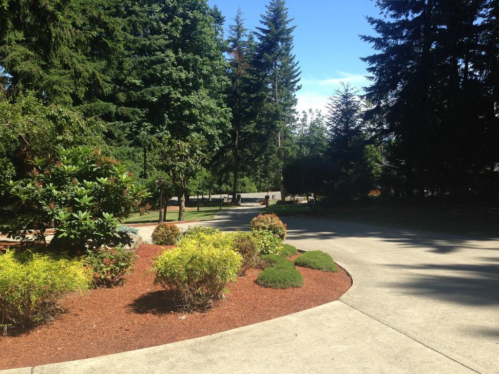 Bed & Breakfast Maple View 4*