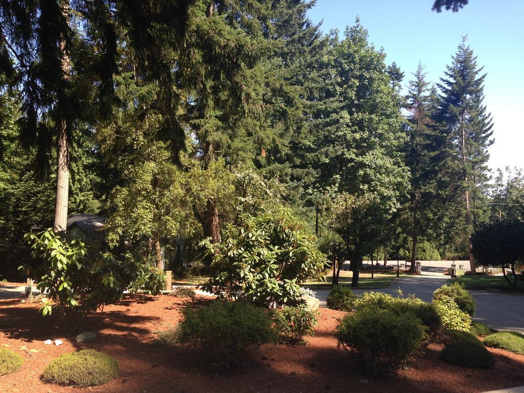 Maple View