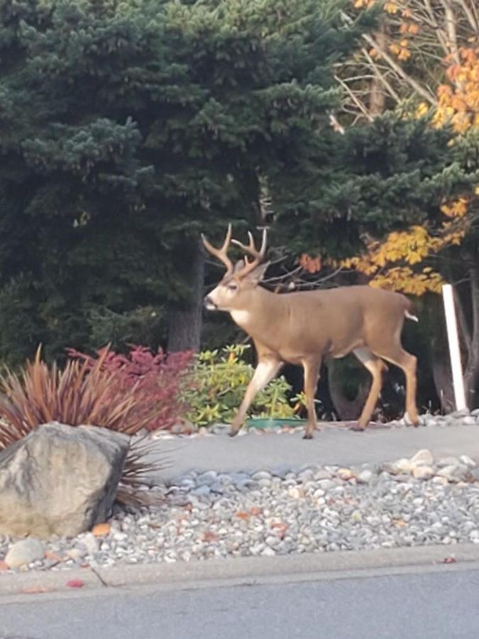 Beautiful Private In Blueback Beachfront Nanaimo