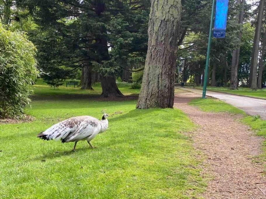 Villa Waterfront Eagle Nest