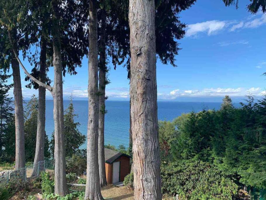 Waterfront Eagle Nest Villa *