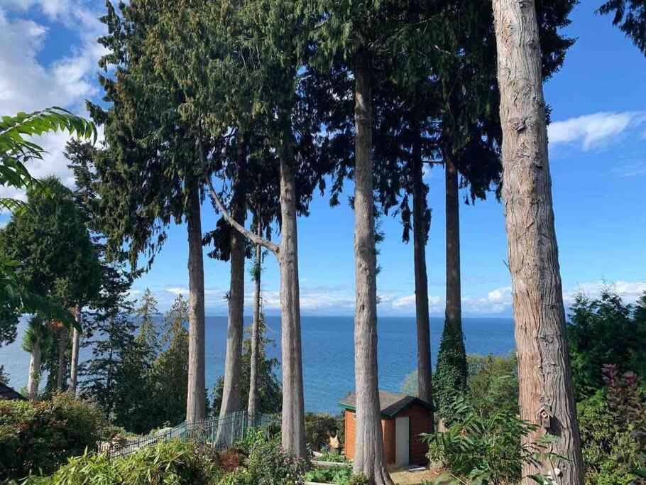 Waterfront Eagle Nest * Nanaimo