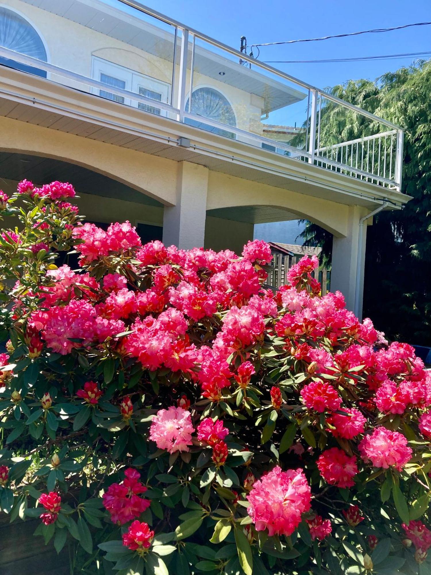 Red Robe Air Guest house Nanaimo