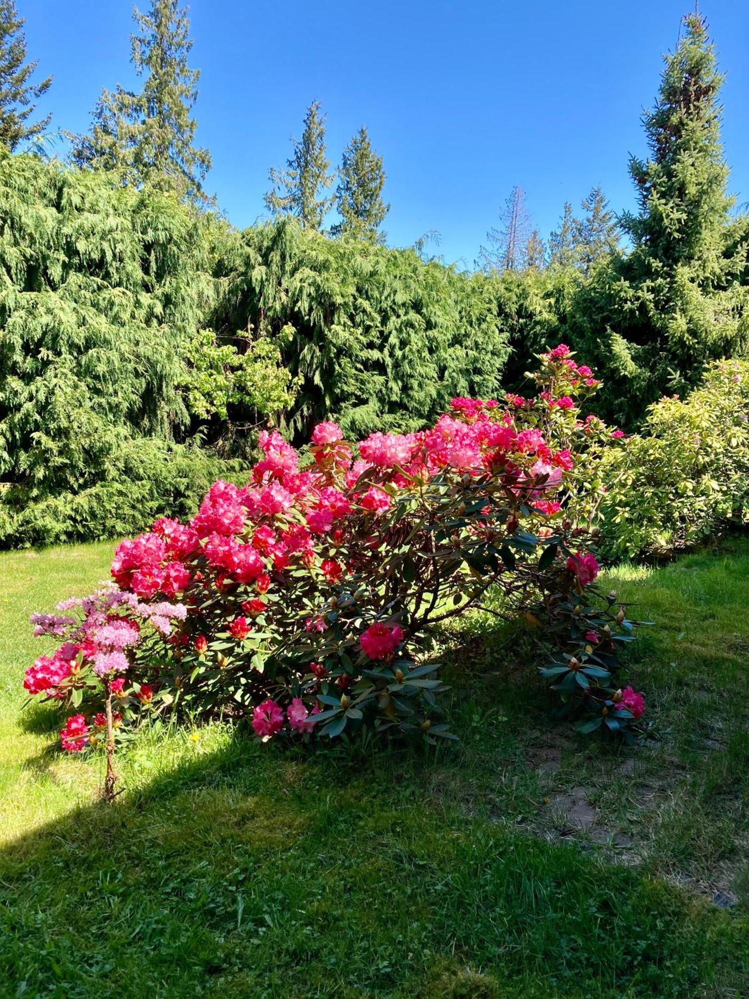 Red Robe Air Guest house