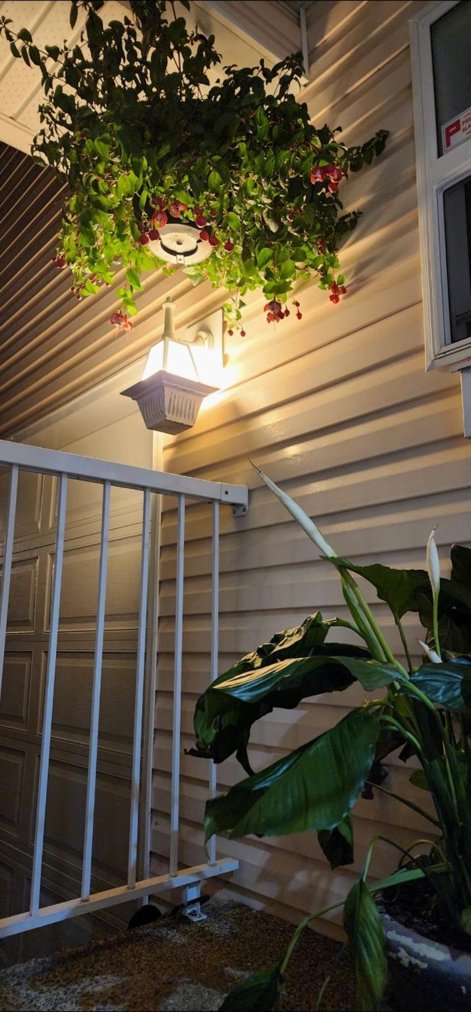Cozy Comfort In * Nanaimo