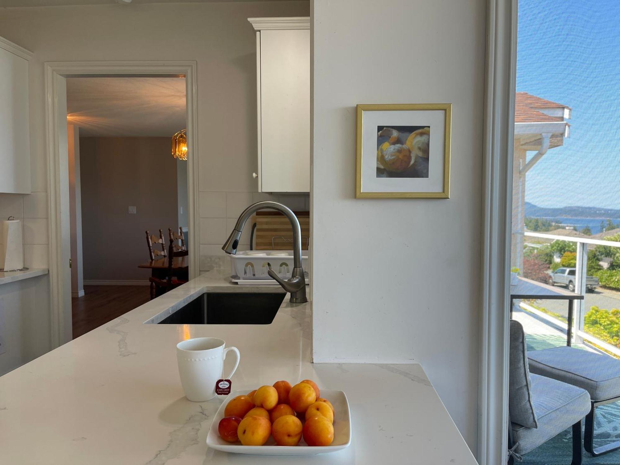 180 Degree Ocean View Villa Nanaimo