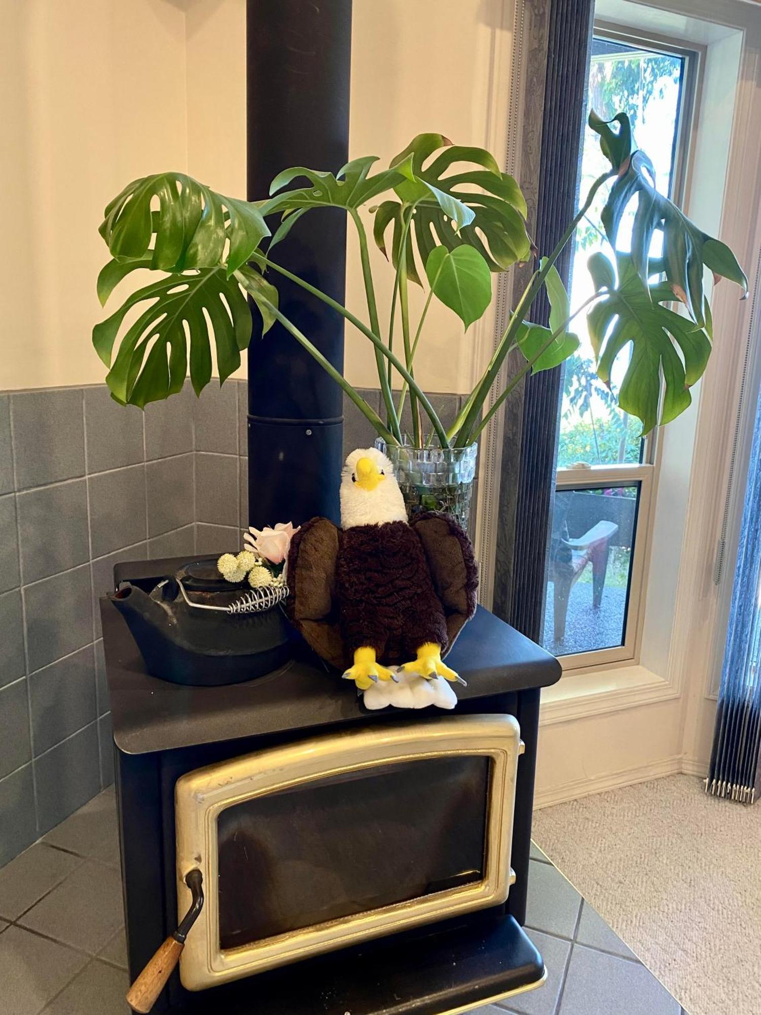 Waterfront Eagle Nest Villa