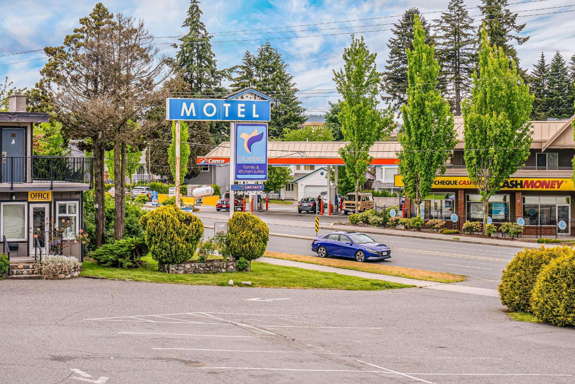 Motel Bluebird