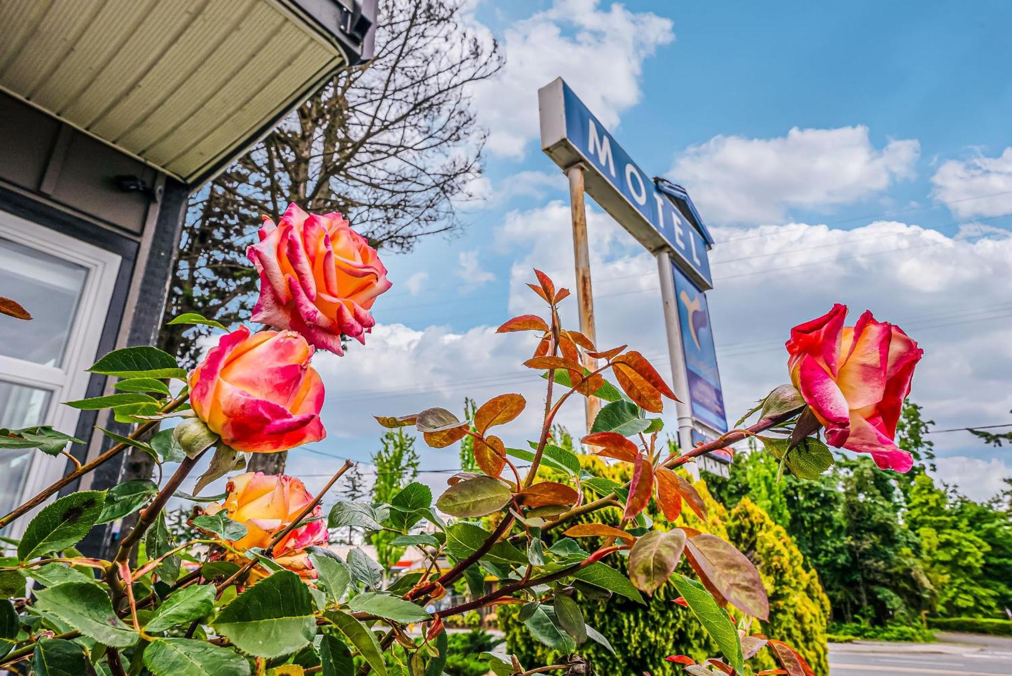 Bluebird Motel Nanaimo