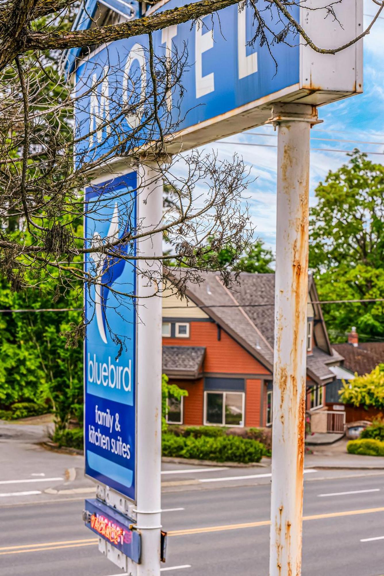 Bluebird Nanaimo