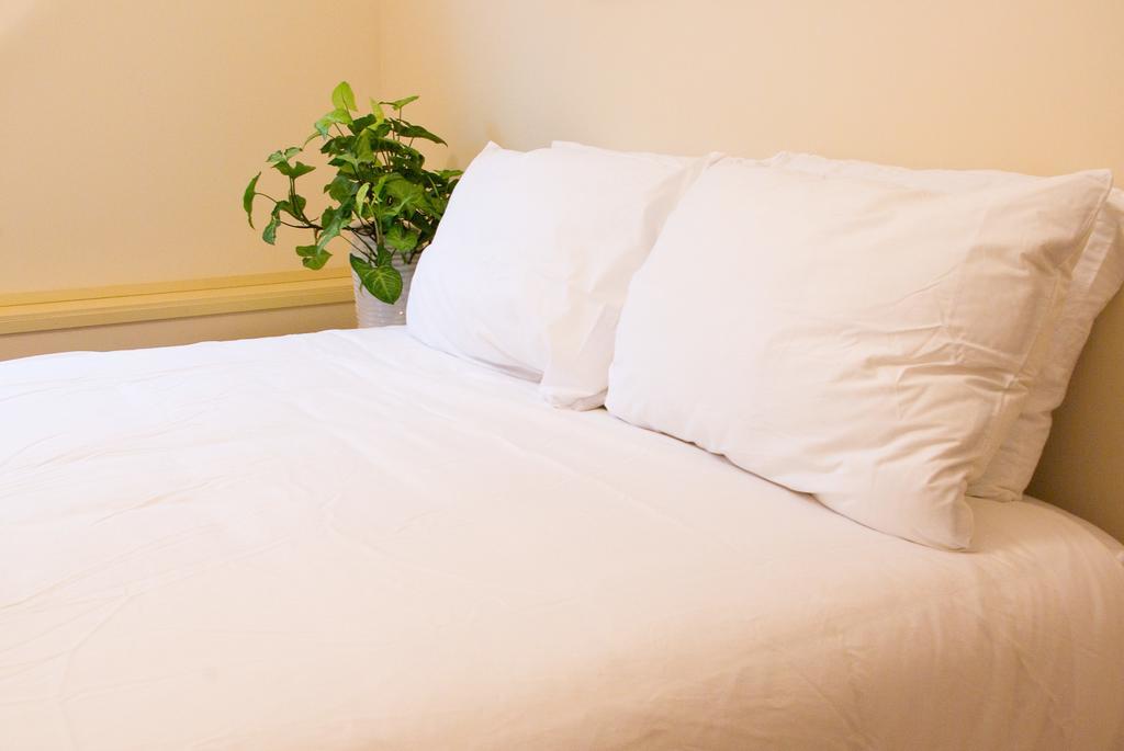 Annarthur Guest house *