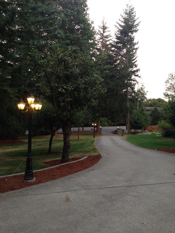 Maple View Bed & Breakfast