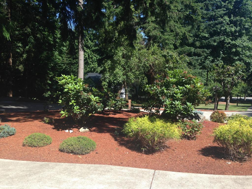 Bed & Breakfast Maple View 4*
