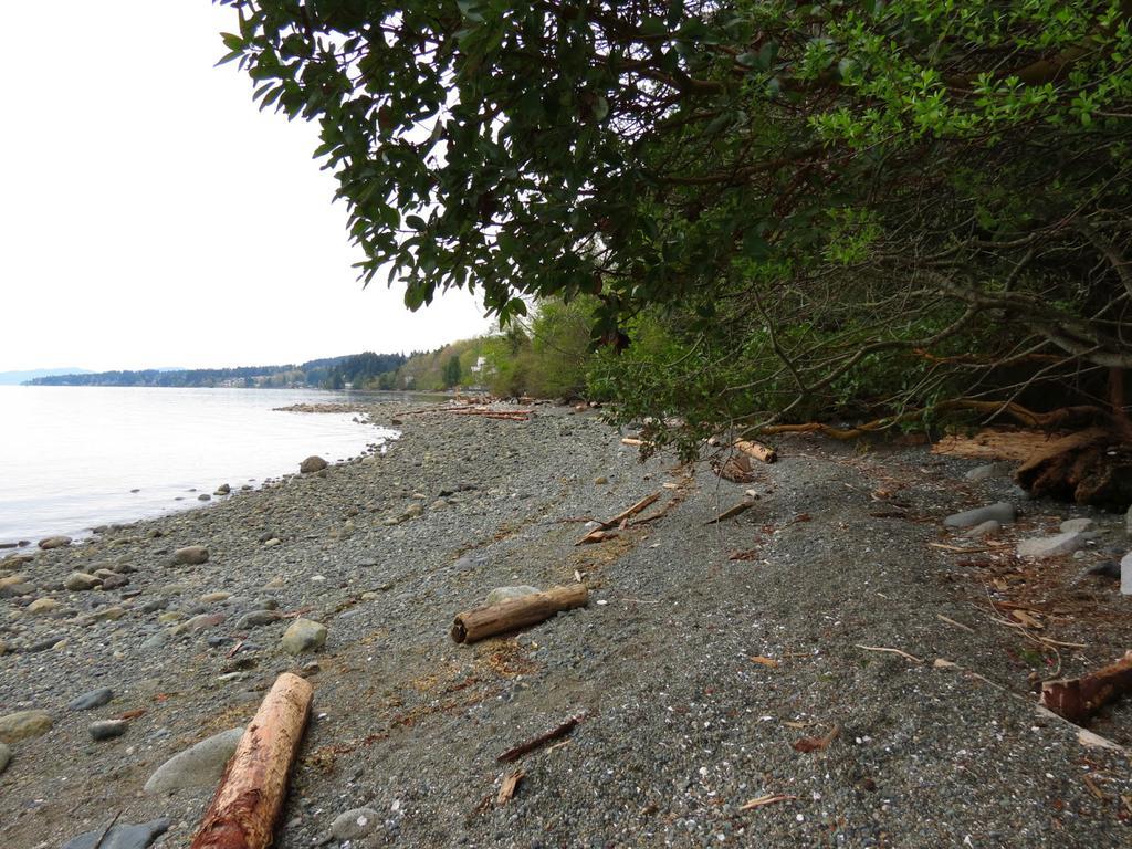 Ping's House * Nanaimo