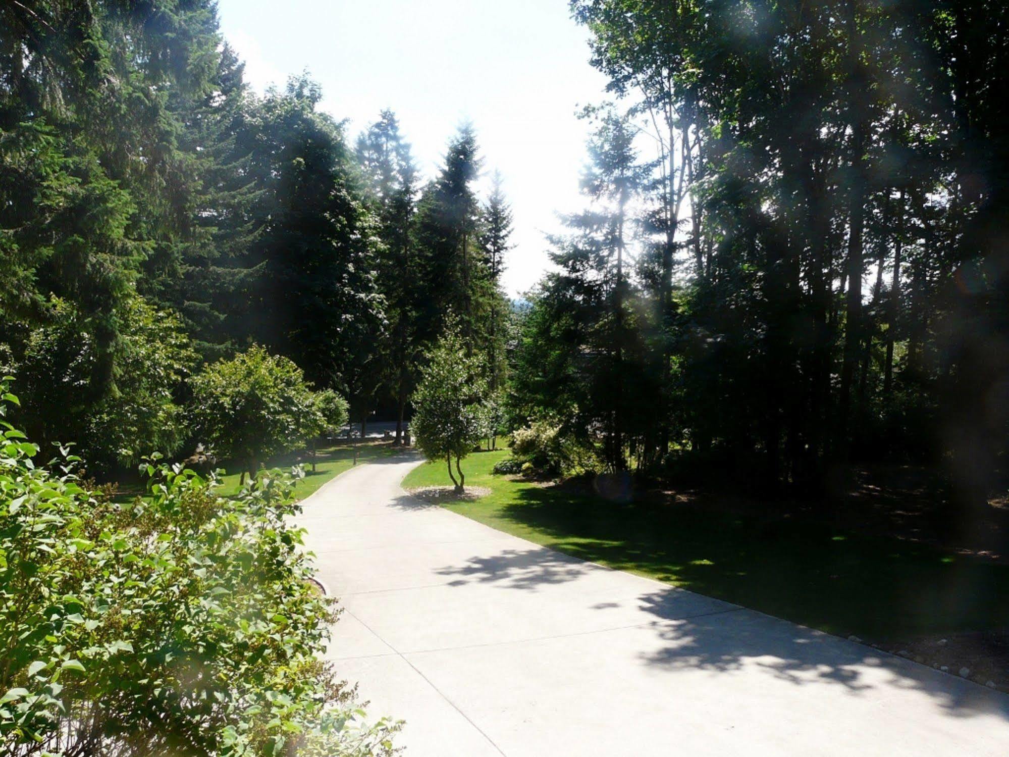 Maple View Bed & Breakfast