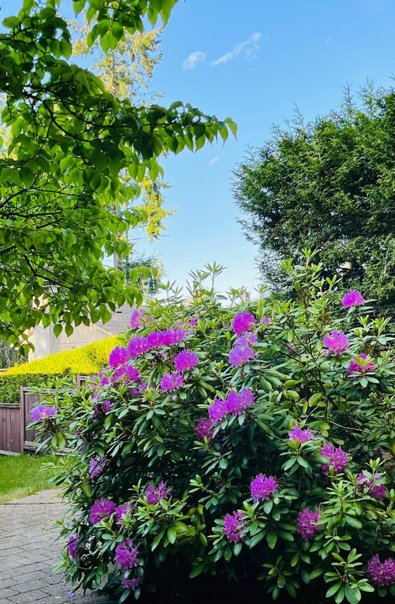 Villa Beautiful With One Acre Land For Leisure Time In Vancouver Island